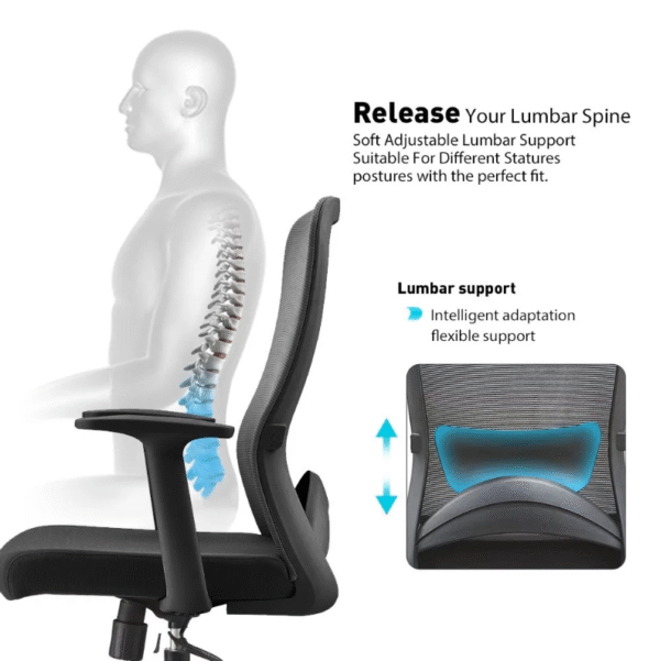 Office chair, Staff chair, Ergonomic Chair