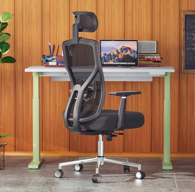 Ergonomic Office Chair​